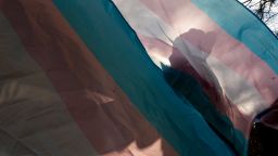 FILE - A protester is silhouetted against a trans pride flag during a pro-transgender rights protest outside of Seattle Children